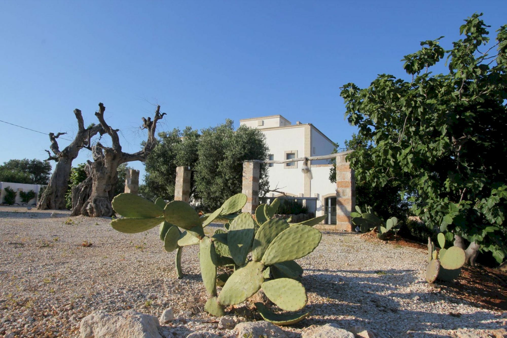 Masseria Lama Di Coccaro Savelletri Buitenkant foto